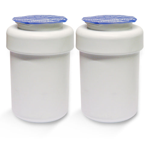 2x GE MWF Smartwater kompatible Kühlschrankfilter, Wasserfilter WF-G
