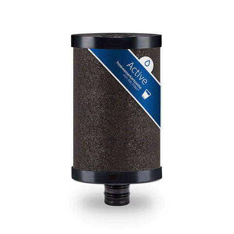 Alb Mobil Active Camping-Wasserfilter mit Geka-Anschluss (Aluminium Silber)