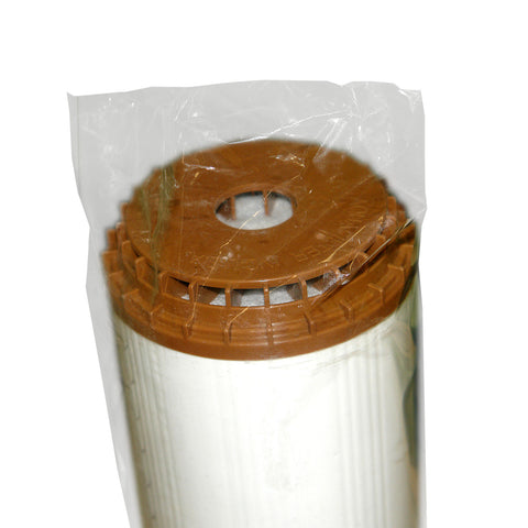 Enteisenungs-Patrone gegen eisenhaltiges Wasser 20"x4,5" Patrone BIG BLue spezial